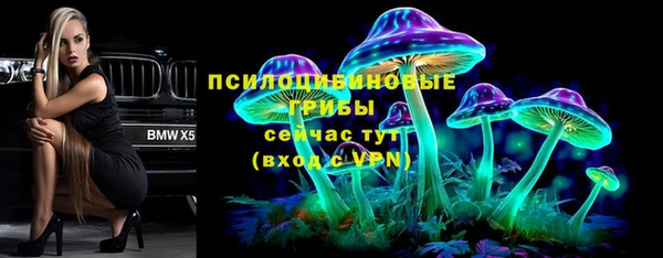 первитин Богородицк