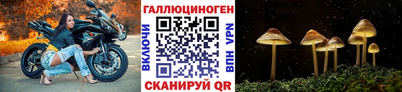 Галлюциногенные грибы Psilocybine cubensis  даркнет состав  Нижняя Тура 